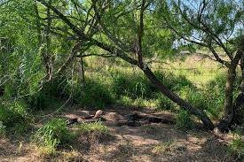 How far is dallas texas from mexico border? One Of The Deadliest Places On The Southwest Border The New York Times