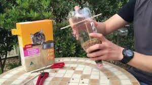Homemade puzzles for dry food. 7 Diy Cat Food Puzzle Toys That Will Keep Your Kitty S Brain Active Cattime