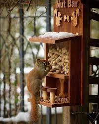 Nut Bar Squirrel Bird Feeder Etsy Wood Bird Feeder Squirrel Feeder Squirrel Feeder Diy