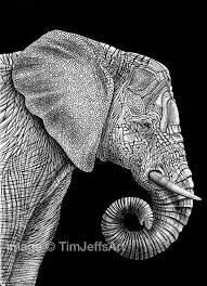 Elephant 2 Ink Drawing By Timjeffsart On Etsy Ink Pen Drawings Elephant Art Elephant
