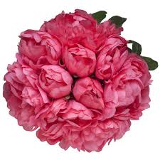 We did not find results for: Coral Silk Peonies Bouquet Wedding Party Flowers Arrangements Gift Buy Online In Angola At Angola Desertcart Com Productid 18720468