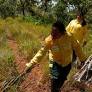En la región Cerrado de Brasil, prácticas indígenas transforman la estrategia contra incendios