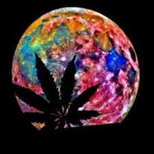 Oct 26, 2013 · 1280x720 3d trippy weed live wallpaper android apps games on brothersoft. Trippy Weed Leaf