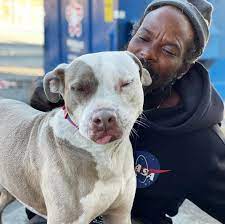 Map of atlanta pet rescue. Homeless Man Runs Into Burning Animal Shelter In Atlanta To Save Dogs And Cats