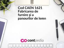 Aceasta clasa include fabricarea de mancaruri gata pregatite (adica preparate, condimentate si gatite). Cod Caen 1629 Fabricarea Altor Produse Din Lemn Fabricarea Articolelor Din PlutÄ Paie Si Din Alte Materiale