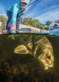 We did not find results for: Fishing For Black Drum Salt Water Sportsman
