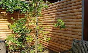 Holz für den sichtschutz sollte über folgende merkmale verfügen: Zaunteam Holzsichtschutz Zaune Und Tore