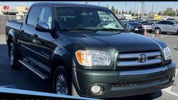Image result for Verde Tundra 2006 159