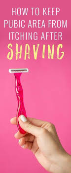 47 Ideas Diy Beauty Hacks Shaving Tips Beauty Diy Shaving Tips Beauty Hacks Shaving Shaving Bikini Area