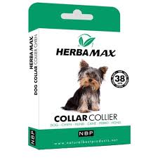 Max Biocide Kopek Pire Ve Dis Parazit Kene Tasmasi Pire Ve Kene Urunleri