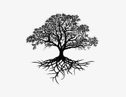 Tree outline drawing banyan tree drawing eucalyptus and banyan image. Oak Silhouette Tree Drawing Trees Free Download Png Tree Roots Tattoo Png Image Transparent Png Free Download On Seekpng