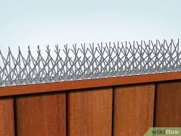 What's the best way to get rid of grackles? 11 Ways To Get Rid Of Starlings Wikihow