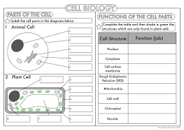 It is also known as plasma membrane which form the covering of animal cell. Gcse Biology Cell Biology Worksheet Pack Updated Teaching Resources