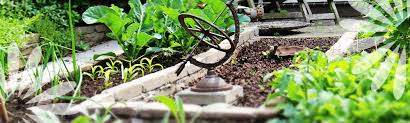 Check spelling or type a new query. Growing A Mixed Fruit And Vegetable Garden Eising Garden Centre