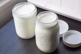 Homemade Plain Yogurt Lefty Spoon
