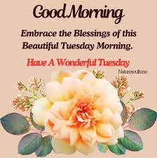 Good Morning Wishes ߙϰߌذߙϰߌذߒаߒGood Morning Tuesday #naturesoultune