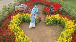 Wisata ke batu flower garden berikut harga tiket, wahana, atraksi, lokasi, fasilitas, agkutan umum serta hal menarik yang bisa dilakukan taman wisata coban rais populer belakangan setelah adanya taman bunga yang cantik. Tribun Wiki Destinasi Wisata Baru Taman Rajati Flower Garden Di Rasau Jaya Tribun Pontianak