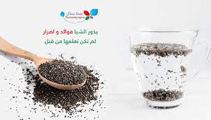 بذور الشيا فوائد و اضرار لم تكن تعلمها من قبل تفاصيل و معلومات مهمة لصحتك sehajmal food beauty condiments