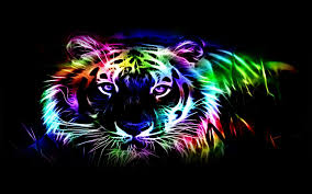 We would like to show you a description here but the site won't allow us. Coole Hintergrundbilder Neon Bilder Tiere Novocom Top