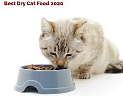 2021 buyer's guide for wet & dry. Best Dry Cat Food On Behance
