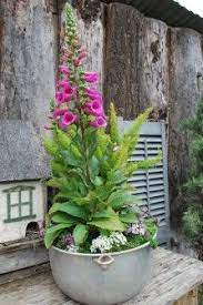 Maybe you would like to learn more about one of these? Vintage Cooking Pot Transformed Into A Pretty Planter Love That Pink Foxglove Garden Containers Plants Amazing Gardens