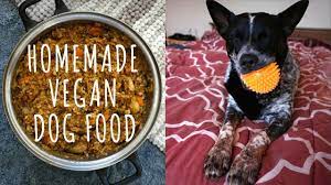 However, choosing the right diet for your puppy can be an overwhelming task. Homemade Vegan Dog Food Recipe Super Cheap Healthy Easy Youtube