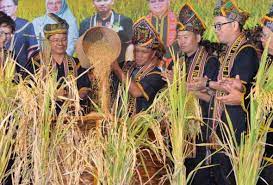 Harvest festival or any other name that is (kaamatan) or in the kadazan language magavau a special celebration ceremony to honor bambazon which is to respect the. Unit 4 Celebrations Lessons Blendspace