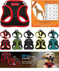 top 5 most comfortable dog harnesses pet training tip