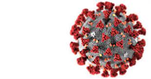 In humans they're typically spread via airborne droplets of fluid produced by infected individuals. Koronavirus Sykehuset Telemark