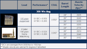 Applied Ballistics Now Offers Match Grade 300 Win Mag Ammo