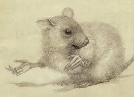 A Thing Of Beauty Is A Joy Forever перевод Robert Ingpen Alisa V Strane Chudes Kartinki I Razgovory Multiplikacionnye Illyutracii Illyustracii I Illyustrator