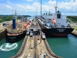 August 1914 wurde der panamakanal eröffnet. Wanderungsbewegungen Falsche Fische Im Panamakanal Archiv