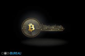 Best Bitcoin Gold Wallets Top 6 Safest Places To Store Btg Guide