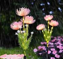 Solar Powered Flower Ground Plug-in Lamp Outdoor Waterproof ...