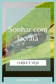 sonhar com lacraia significado dos sonhos correndo sonhos