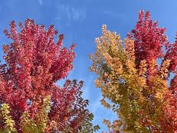 會寧秋日美景醉心扉-自然攝影天堂