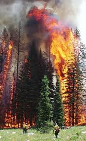 Idaho Crown Fire What A Shot You Can Really Appreciate All The Hard Work In Trying To Put A Fire Like This Out Forest Fire Wild Fire Wildland Fire