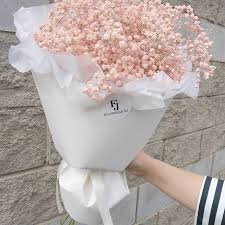 для ухода за цветами в доме творчества 10 упаковок Vozdushnoe Oblako Iz Pudrovoj Gipsofily Flowersjuli Floristikaminsk Floristika Cvety Cvetyminsk Gips Flowers Bouquet Gift Luxury Flowers Flower Aesthetic