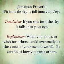 If Yuh Pit Inna Di Sky It Fall Inna Yuh Eye Jamaicanproverb Jamaicansbelike Jamaicansayings Inspirational Words Of Wisdom Wise Quotes Inspirational Words