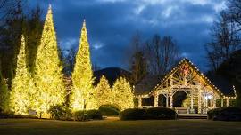 Lights on the Green