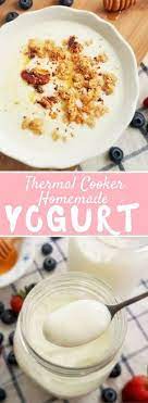 Easy Homemade Yogurt Recipe With A Thermal Cooker Souper Diaries Recipe Yogurt Recipes Thermal Cooker Homemade Yogurt Recipes