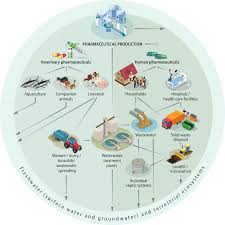 Jitendar kasana explained, further , there is one plant in a remote country like namibia, they have a. Defining The Challenge Of Managing Pharmaceuticals In Water Pharmaceutical Residues In Freshwater Hazards And Policy Responses Oecd Ilibrary