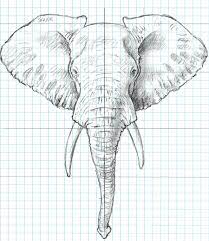 When sketching the details, remember about wrinkles! Elephant Front Ortho By Strick67 On Deviantart