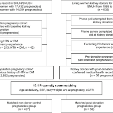 Study Flow Chart Dm Diabetes Mellitus Egfr Estimated