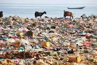 Plastic pollution | Definition, Sources, Effects, Solutions ...