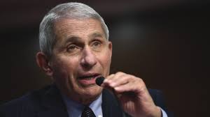 Fauci's emails have been made public for. Dr Fauci Return To Normality Expected Late 2021