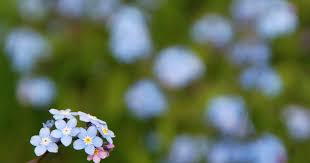 Check spelling or type a new query. Healing After Loss 6 Ways To Honor A Baby After Miscarriage Stillbirth Or Infant Loss Everyday Mamas