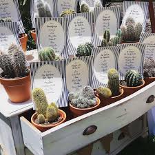 Descubre más de 385 1 en aliexpress.com, incluyendo marcas top de 1. Viste Tu Boda Con Cactus