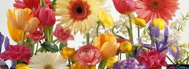Check spelling or type a new query. Ice Cream Facebook Cover Photo Google Search Pink Flower Photos Spring Flowers Flower Pictures