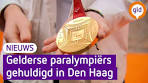 Paralympische medaillewinnaars gehuldigd door de koning - YouTube
